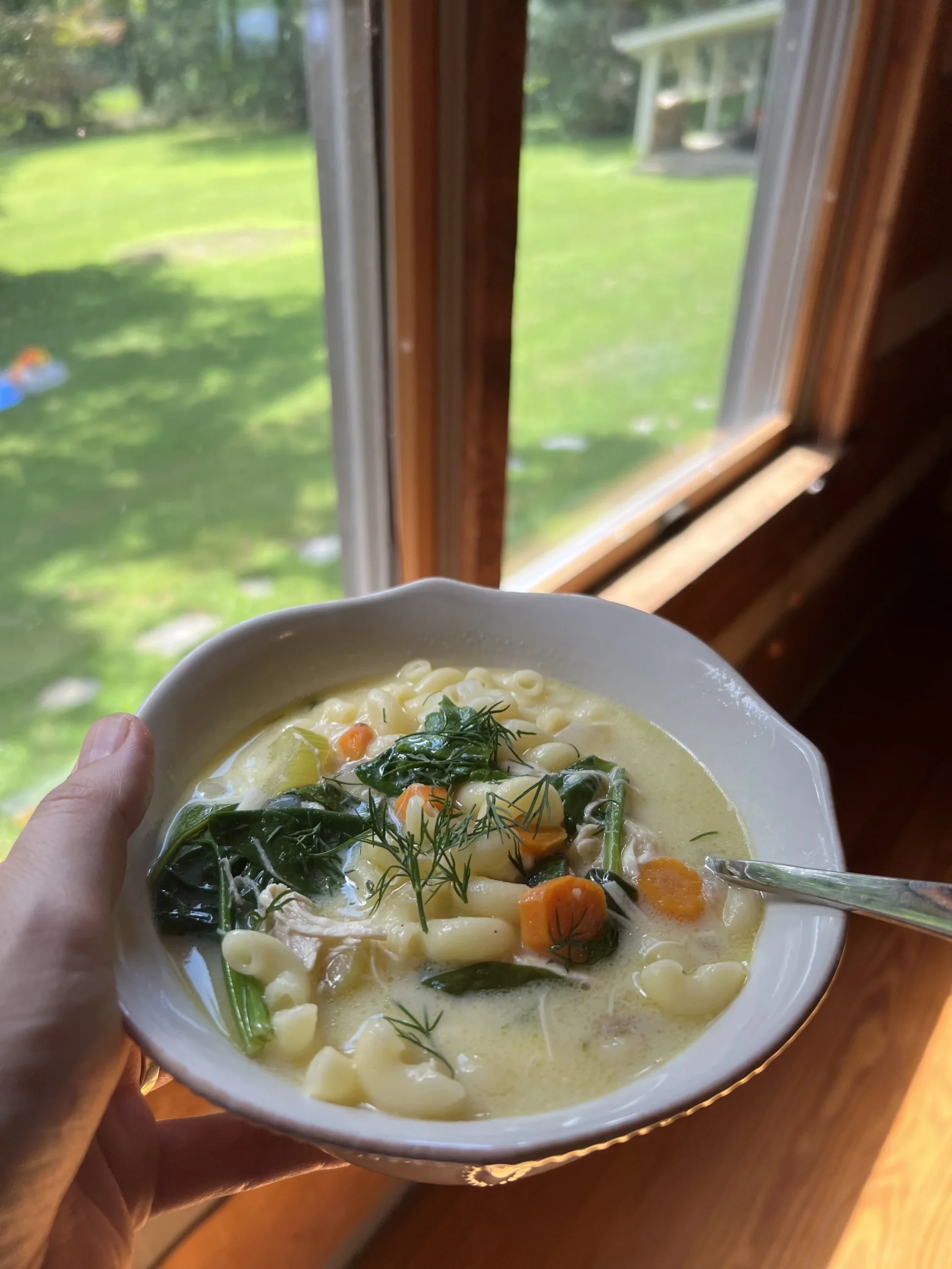 Bowl of creamy chicken soup with pasta, carrots, greens, and dill, held near a window overlooking a lawn