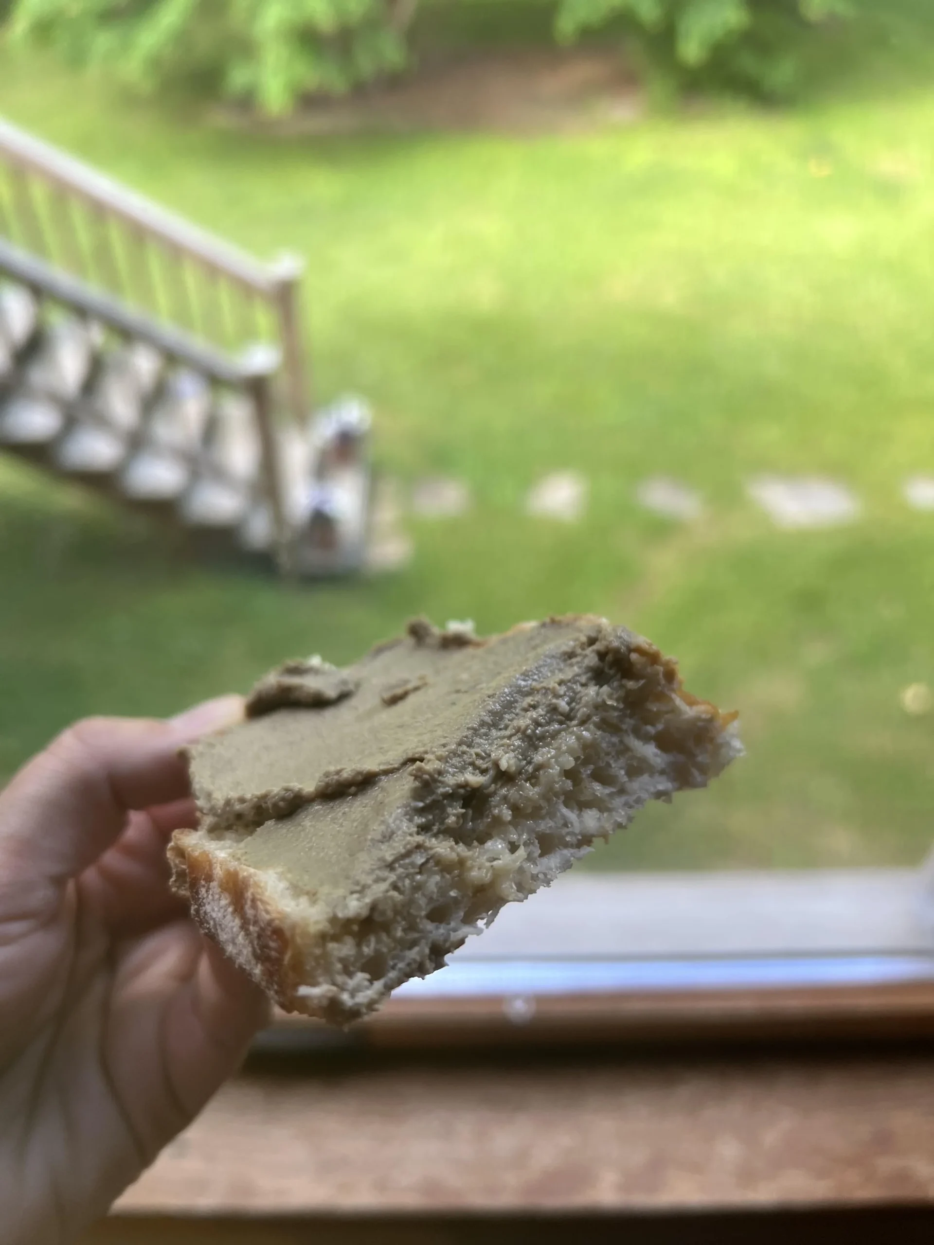 A hand holds a slice of bread spread thickly with a dark greenish-brown paste, outdoors near a deck railing and lawn