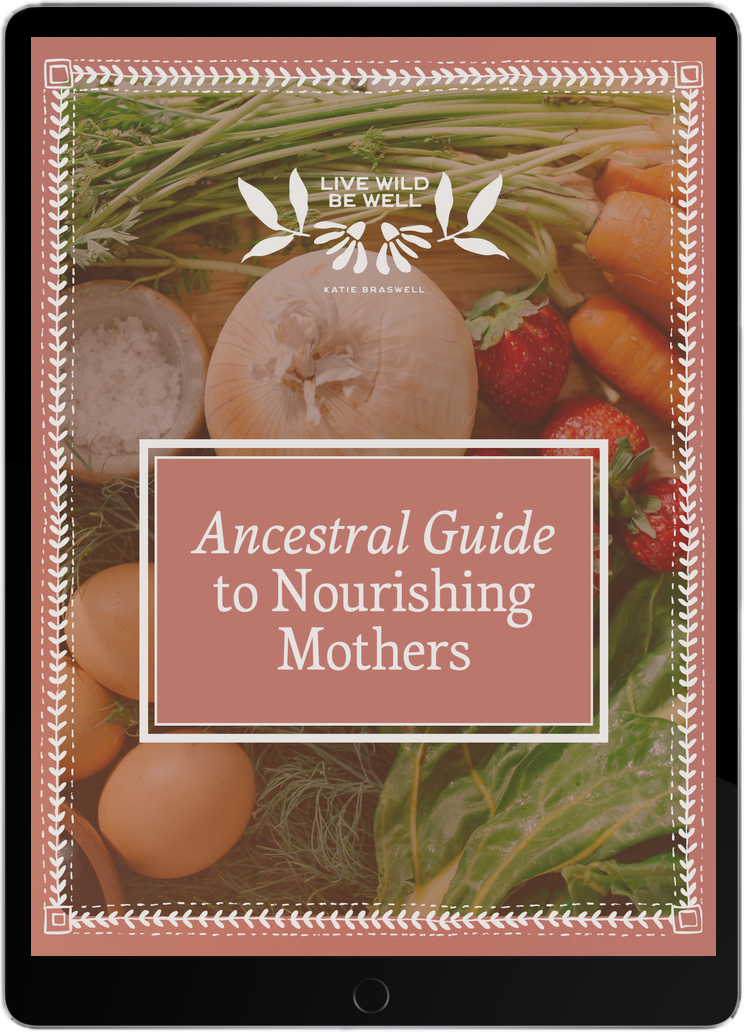 Ancestral Guide to Nourishing Mothers