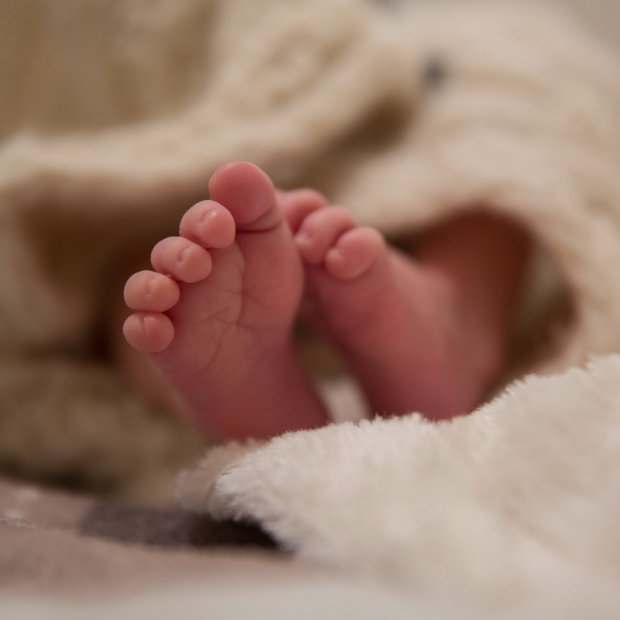 Close-up of a newborn baby's tiny toes and feet wrapped in a soft knitted blanket