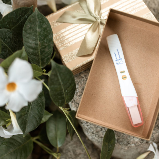 Pregnancy test with two lines lying in an open gift box, surrounded by white flowers and green leaves