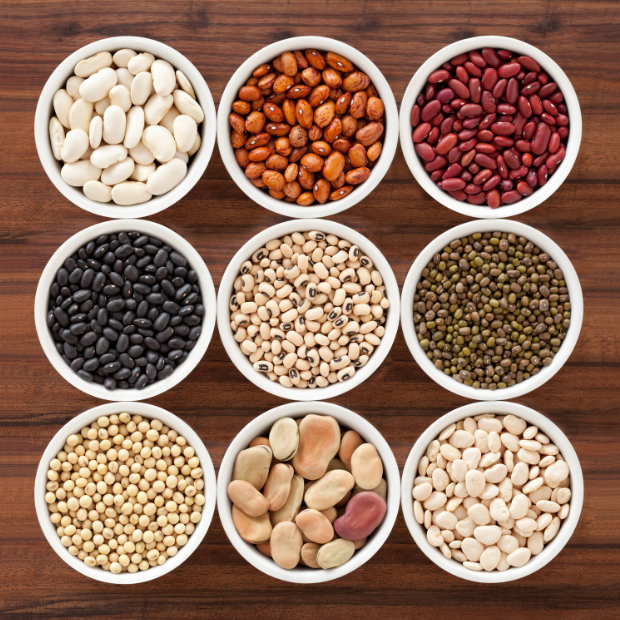 Nine bowls of dried legumes arranged in a grid: white beans, pinto beans, kidney beans, black beans, black-eyed peas, mung beans, soybeans, fava beans, and cannellini beans