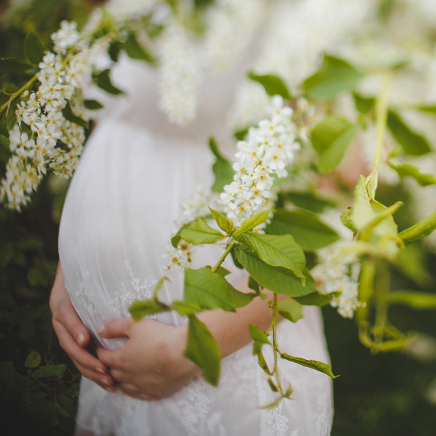 Pregnant woman in a white lace dress cradling her belly amid white blossoms and green foliage