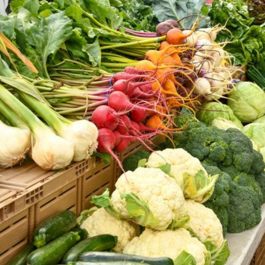Fresh market display of onions, radishes, carrots, cauliflower, broccoli, cabbage, and zucchini