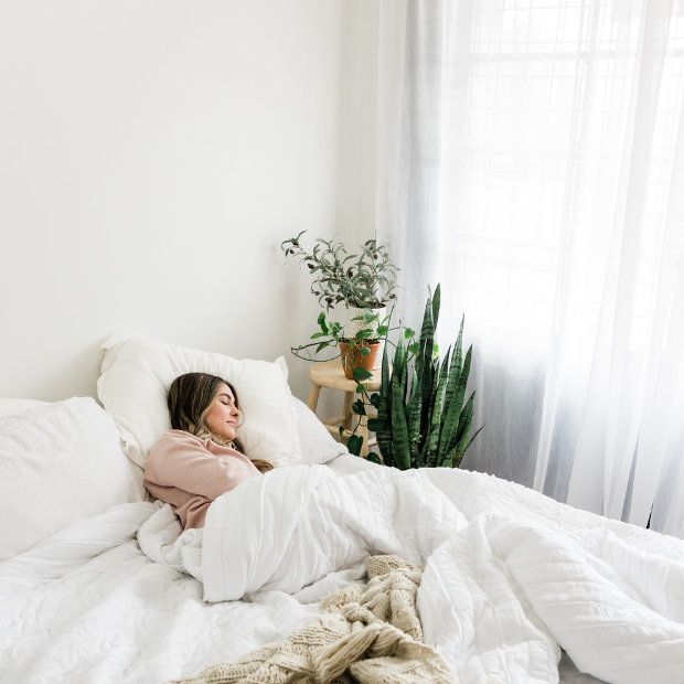 Woman sleeping peacefully in a white bed near sunlit windows and potted plants