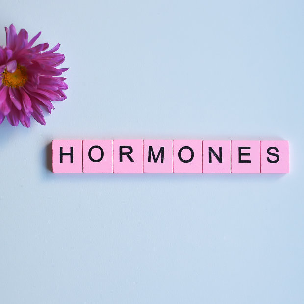 Pink tiles spelling HORMONES next to a purple flower on a light blue background